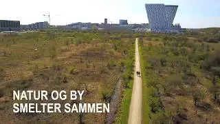 Natur og by smelter sammen i Ørestad Fælled Kvarter