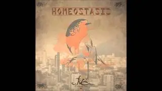 9.- Venus (Homeostasis 2015)