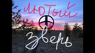 Шикарный коп. Лютый зверь и многое другое 👍🏻