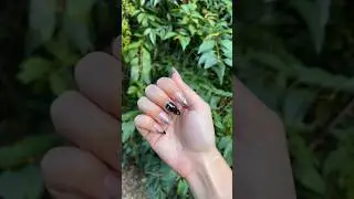 NYFW Nails 🖤 (Easy Chrome Design Nails) #shorts