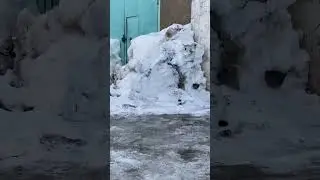 весна#нива#зима