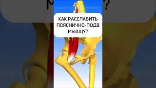 RELAX the iliopsoas muscle? Psoas Release #1