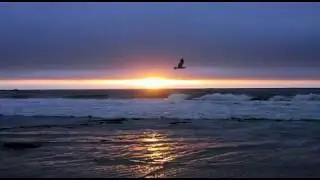 Gone Away.mov