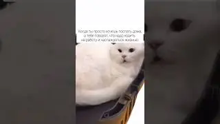 Наслаждение🙃 