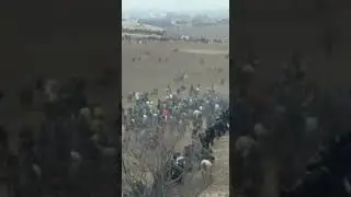 Бузи шахри хисор 2.01.2022