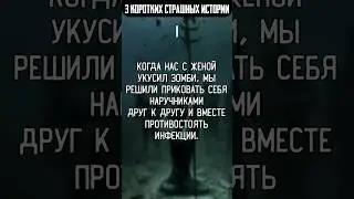 «3 коротких страшных истории»
