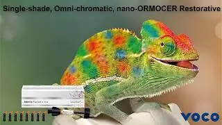 Admira Fusion x-tra - omni-chromatic restorative