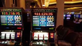 $10 Majestic Lions Slot Machine Progressive Jackpot  Handpay MGM Grand