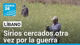 Refugiados sirios en el Líbano y el fantasma de un nuevo desplazamiento • FRANCE 24 Español