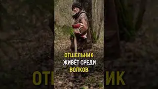 НАШЛИ ОТШЕЛЬНИКА В ЛЕСУ. Живёт 26 лет среди волков и медведей. #словопацана #отшельник #одиночество