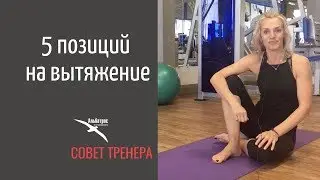 ТОП-5 позиций на вытяжение