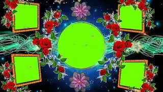 Green screen background flower animation frame effect video