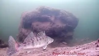 Другой мир.