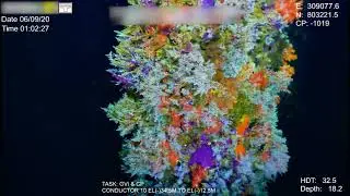 Trone 4k camera