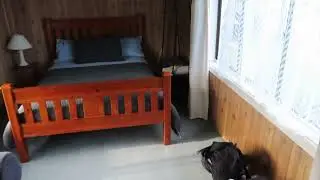 From The Back Country To My Special Accomodation