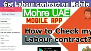 how to get Labour Card  from MOHRE App|Get Contract Copy from Mobile|