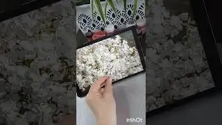 Как работает Творожная крем-паста 💯 