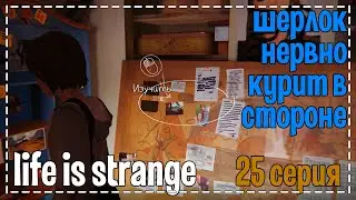 Life Is Strange # Шерлок нервно курит в стороне # 25 серия