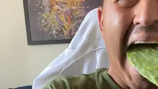 When you see the Fastest cactus eater ever! 1.89 seconds