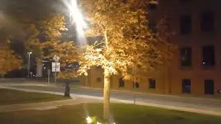 Bydgoszcz  Plac Koscielecki 12.11.24