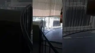 Детский городок