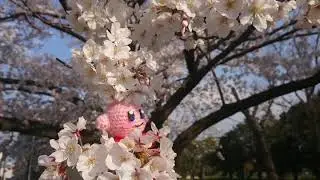 Amigurumi - Kirby & Cherryblossom 🌸