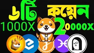 NFT Babydoge Bonk coin buy hold sell   1000X to 20000 আপনি মিলিয়নার হতে পারবেন crypto bd
