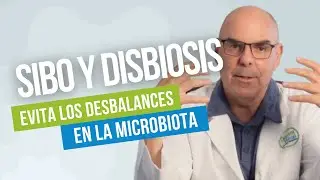 SIBO Y DISBIOSIS: qué son y cuáles son sus causas