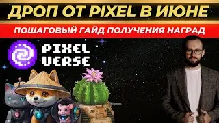 🟢 PixelVerse раздаст дроп раньше Hamster Kombat? Гайд как получить награды