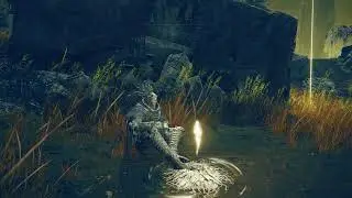 Elden Ring Shadow of the Erdtree DLC with New Game+ - Maxing Out My Scradutree Fragments