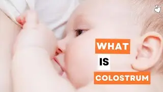 The Truth About What Is Colostrum Will Shock You