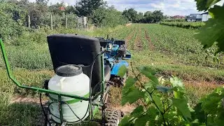 Cum se stropeste in lumea reala !
