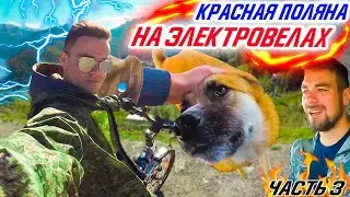 В ГОРЫ НА ЭЛЕКТРОВЕЛОСИПЕДАХ / РОЗА ХУТОР / ОБРАТНАЯ ДОРОГА