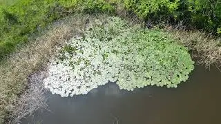 Museo Giardino della Rosa Antica. Maggio 2024 🌹