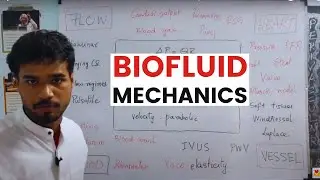 Biomechanics Biofluids | Biofluid Mechanics GATE Exam | CRASH COURSE Cardio Vascular Haemodynamics