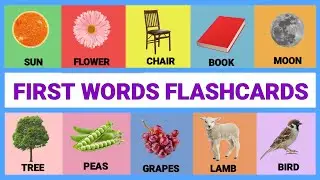 First Words for Toddlers / English Flashcards