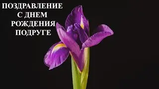 ПОЗДРАВЛЕНИЕ С ДНЕМ РОЖДЕНИЯ ПОДРУГЕ