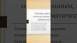 Если в вашу собаку стреляли 