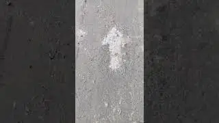 Ну реально стрелочка же!? #кактак