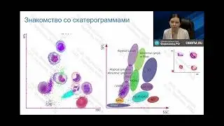 3-diff 5-diff анализаторы