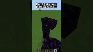 When You are Minecraft NOOB #shorts #minecraft
