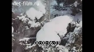 1 Часть .  1987г. село Камский леспромхоз. Мамадышский район Татарстан.