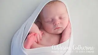 Pink Owl Studios | Addison | Sugar Land Newborn Photographer