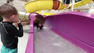 Aquatopia
