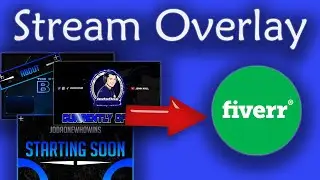 Don’t design a Twitch overlay yourself!! | (Fiverr Artist review)