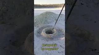 Дежурный по водопою