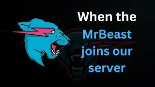 When MrBeast joins our discord server - Beluga style