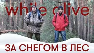 Поход в январе 2023