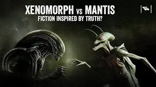 Could Alien: Romulus Be Inspired by Real Praying Mantis Aliens?