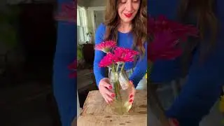 Genius Flower Hacks that actually work! 💐